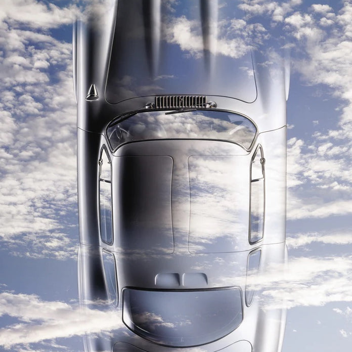 GULLWING IN HEAVEN by René Staud 