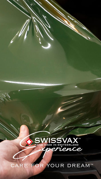 PPF EXPERIENCE WORKSHOP